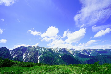 夏の白馬、八方尾根でトレッキング34