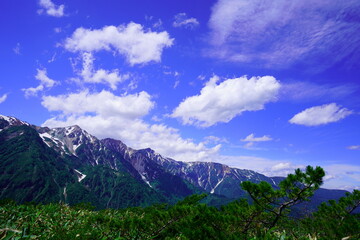 夏の白馬、八方尾根でトレッキング011