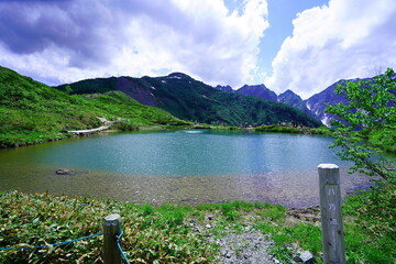 夏の白馬、八方尾根でトレッキング10