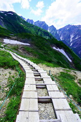 夏の白馬、八方尾根でトレッキング08