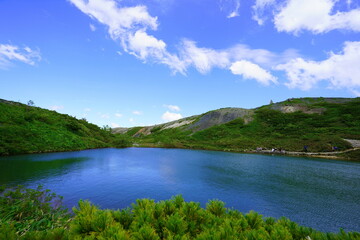 夏の白馬、八方尾根でトレッキング14