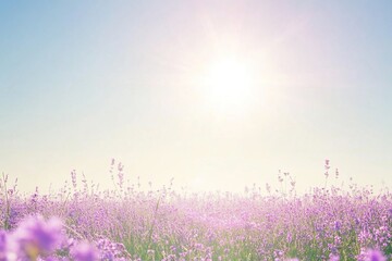 Naklejka premium Field of purple flowers with bright sun in the background. The scene is peaceful and serene, background for design works. Spring joyful background.