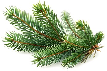Winter Spruce Branch Decor. Festive Pine Greenery. New Year Spruce Close-Up.