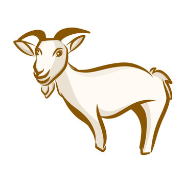 recommend clip art: Goat vector illustration. A white goat cartoon character illustration. cute goat cartoon clipart, animal in flat style. Farm animals concept, rural farming. Cute Goat vector flat illustration isolated