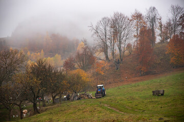 Fototapeta premium Autumn landscape with colorful trees