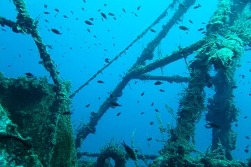 Sunken boat in the deep blue ocean. Rusty metal structure, underwater shipwreck in the ocean and...