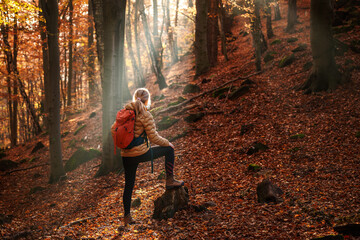 Woman hiking in autumn forest. Female hiker with red backpack is climbing uphill. Adventure in nature