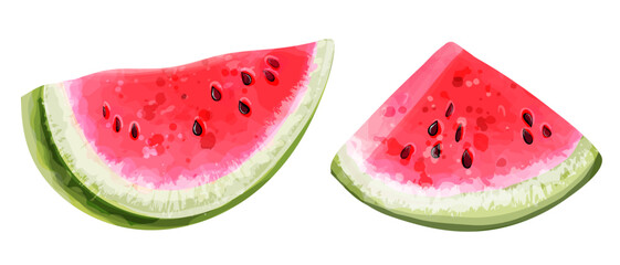 Set of watermelon slices. Vector watercolor illustration