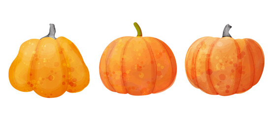 Orange ripe pumpkins. Vector watercolor set of vegetable illustrations