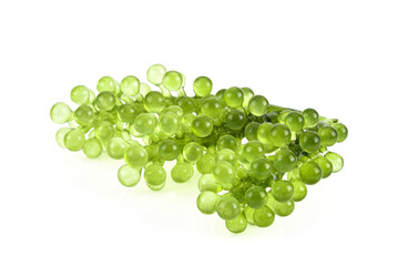 Umi-budou, grapes seaweed or green caviar isolated on white background