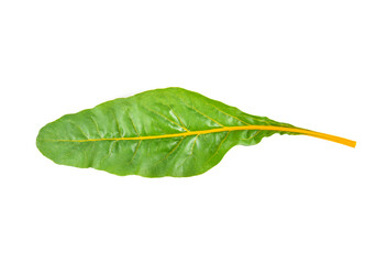 swiss chard, mangold, bietola