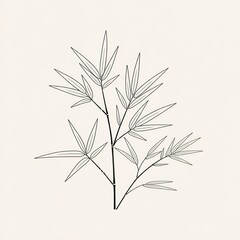 Obraz premium Bamboo leaves and branches.