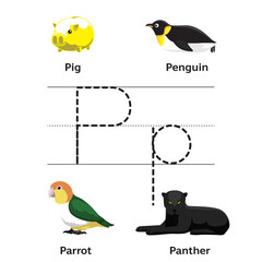 P Alphabet English Letter Tracing Learning Vector Preschool