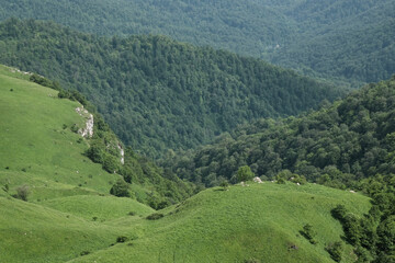 View from Mount Dimats slope on sunny summer day. Haghartsin, Tavush Province, Armenia.