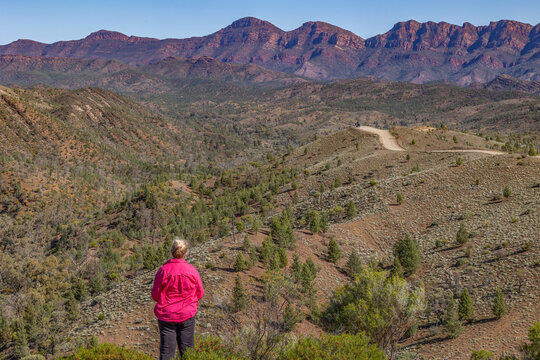 Woman tourist in a pink shirt looks out over a semi arid valley and road towards the eastern ramparts of Wilpena Pound, a popular tourist destination in the Flinders Ranges in South Australia.