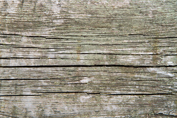 The texture of an old cracked wooden board. Close-up of an old wooden plank.