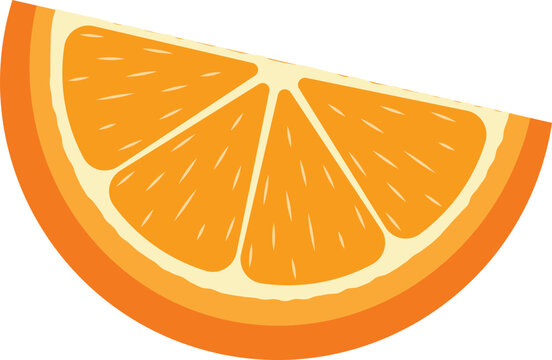 slice orange vector 