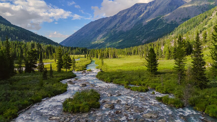 the winding mountain river Multa in the Altai mountains in summer