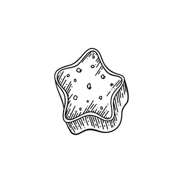 Star shaped chocolate candy. Vector illustration isolated on white background. Black and white sketched style.