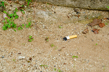 公園の敷地にポイ捨てされ火が消えた状態のタバコが落ちている風景