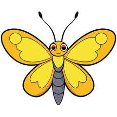 Cloudless Sulphur butterfly vector illustrations on a white background.