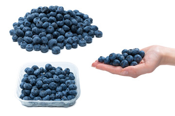 Group of fresh blueberry isolated on a white background.