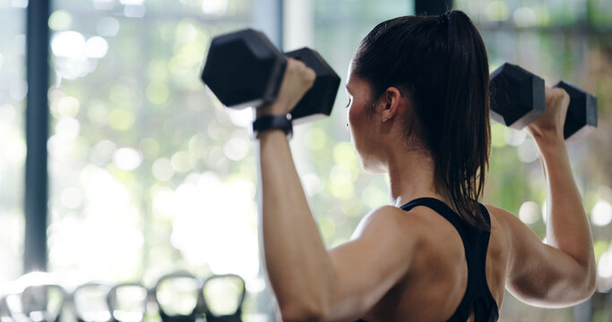 Back, dumbbells and fitness with woman in gym for physical improvement or strength training. Power, shoulders and workout with person lifting weights in health club for arm, bicep or muscle exercise