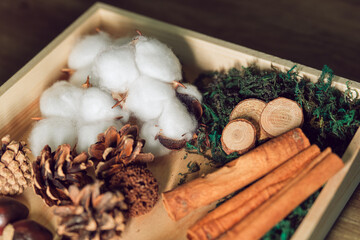 Cozy Natural Decoration Set for a Warm Winter Ambiance