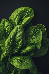 Obraz premium Close-up view of fresh leafy spinach showcasing rich green color and detailed texture, perfect for culinary use or nutritional imagery