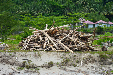 a pile of tree branches and a trunk
