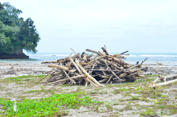 Tree trunks and branches lying on the beach for campfire