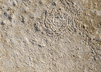 A rocky, sandy surface with a few small holes