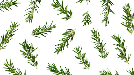 Obraz premium Fresh rosemary leaves scattered on a surface.