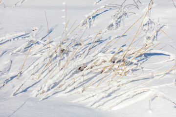 A field of snow covered grass with a few snowflakes on the ground
