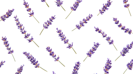 Vibrant lavender flowers on a dark background.
