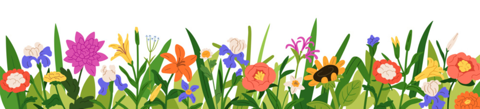 Floral border with gentle flowers in summer field. Botanical decoration, blossoms in garden, nature. Blooming meadow, wildflowers and grass. Flat vector illustration isolated on white background