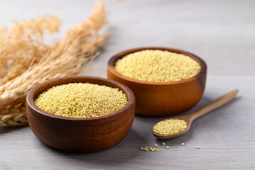 Organic yellow millet grain in wooden bowl with spoon on white table, Healthy food ingredient