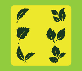 A beautiful set of necessary leaf icons for any projects