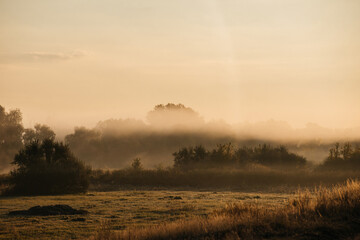 fog over the field at dawn in autumn