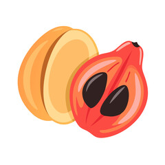 ackee icon, fruits vector icon - simple vector illustration of a ackee, in a simple and clean style, suitable for food and health themes. fruits flat illustration.