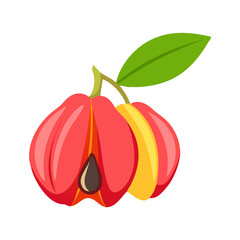 ackee icon, fruits vector icon - simple vector illustration of a ackee, in a simple and clean style, suitable for food and health themes. fruits flat illustration.