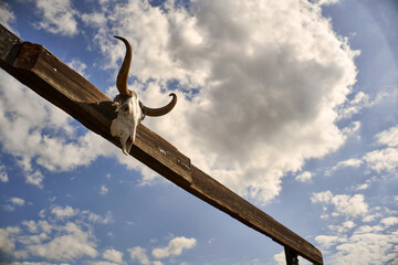 Longhorn Cattle Skull Entry Gate