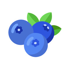 blueberry icon, fruits vector icon - simple vector illustration of a blueberry, in a simple and clean style, suitable for food and health themes. fruits flat illustration.