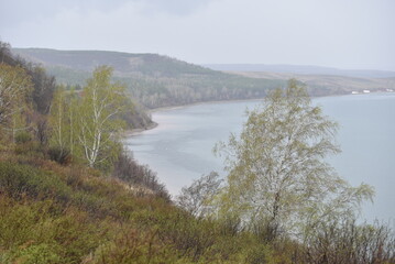 Lush green landscape overlooking a serene river at the edge of spring