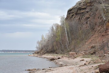 Rocky shoreline view near a calm body of water with trees