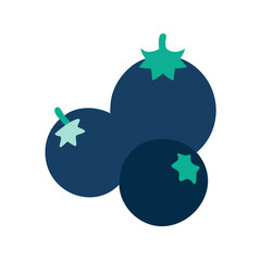 blackcurrant icon, fruits vector icon - simple vector illustration of a blackcurrant, in a simple and clean style, suitable for food and health themes. fruits flat illustration.