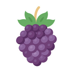 boysenberry icon, fruits vector icon - simple vector illustration of a boysenberry, in a simple and clean style, suitable for food and health themes. fruits flat illustration.