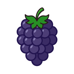 boysenberry icon, fruits vector icon - simple vector illustration of a boysenberry, in a simple and clean style, suitable for food and health themes. fruits flat illustration.