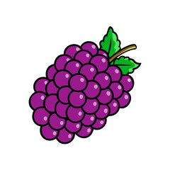 boysenberry icon, fruits vector icon - simple vector illustration of a boysenberry, in a simple and clean style, suitable for food and health themes. fruits flat illustration.
