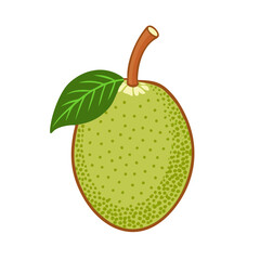 breadfruit icon, fruits vector icon - simple vector illustration of a breadfruit, in a simple and clean style, suitable for food and health themes. fruits flat illustration.